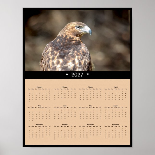 Poster Calendário de Parede do Falcão-de-cauda-vermelha 2 (Frente)