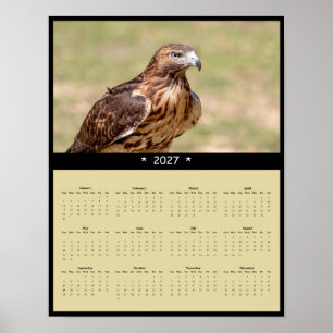 Poster Calendário de Parede do Falcão-de-cauda-vermelha 2