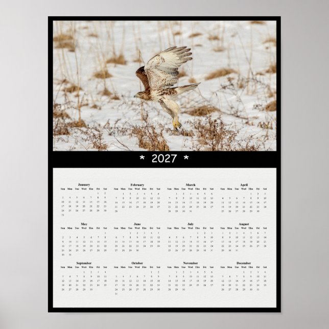 Poster Calendário de Parede do Falcão-de-cauda-vermelha 2 (Frente)
