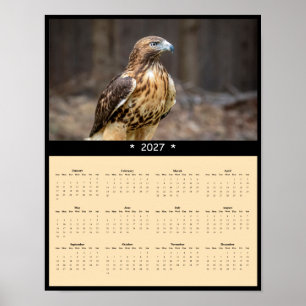 Poster Calendário de Parede do Falcão-de-cauda-vermelha 2