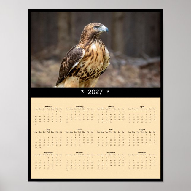 Poster Calendário de Parede do Falcão-de-cauda-vermelha 2 (Frente)