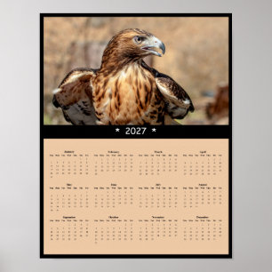 Poster Calendário de Parede do Falcão-de-cauda-vermelha 2