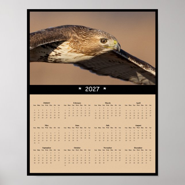 Poster Calendário de Parede do Falcão-de-cauda-vermelha 2 (Frente)