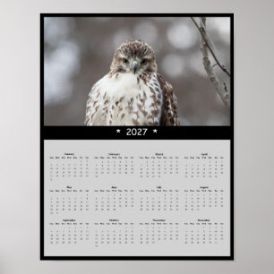 Poster Calendário de Parede do Falcão-de-cauda-vermelha d
