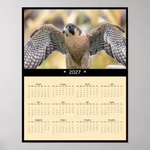 Poster Calendário de Parede do Falcão Peregrino 2027 - Ca
