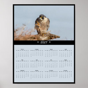 Poster Calendário de Parede do Falcão Peregrino 2027 - Sp