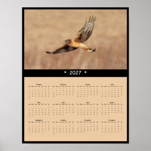 Poster Calendário de Parede do Harrier do Norte 2027 - Ga