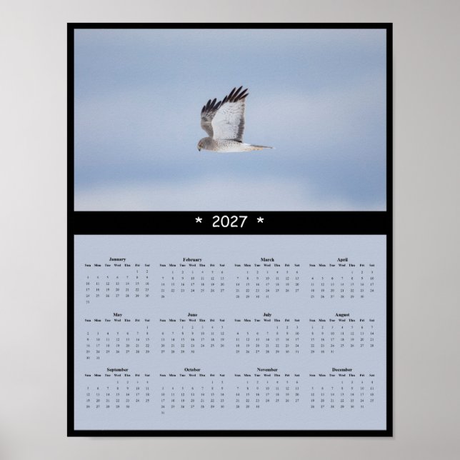 Poster Calendário de Parede do Harrier do Norte 2027 Sile (Frente)