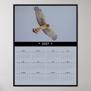 Poster Calendário de Parede Falcão-do-campo 2027 - Campos
