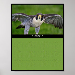 Poster Calendário de Parede Falcão Peregrino 2027