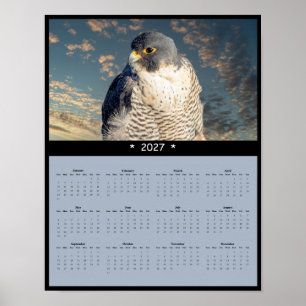 Poster Calendário de Parede Falcão Peregrino 2027