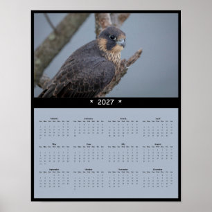 Poster Calendário de Parede Falcão Peregrino 2027