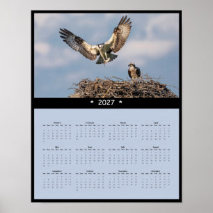 Poster Calendário de Parede Ósprey 2027 - Majestosos Rapt