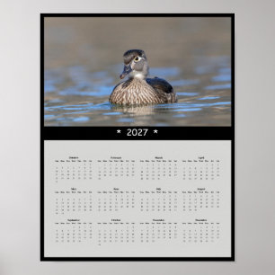 Poster Calendário de Parede Pato Silvestre 2027 - Aves Aq