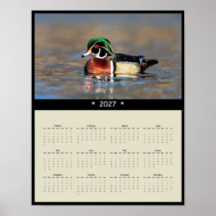 Poster Calendário de Parede Pato Silvestre 2027 - Plumage