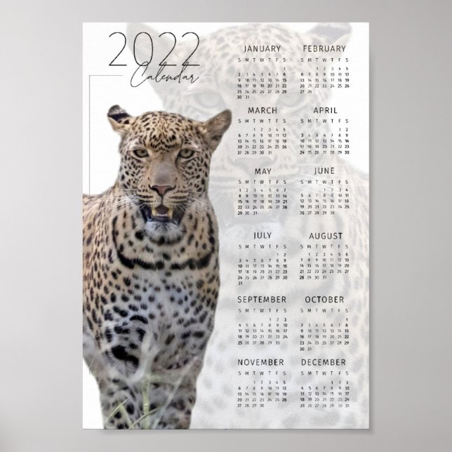 Poster Calendário de vida selvagem do Leopardo 2022 (Frente)