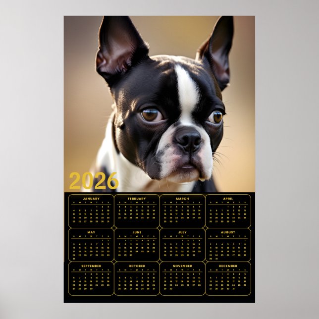 Poster Calendário do Boston Terrier 2026 (Frente)