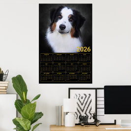 Poster Calendário do Pastor Australiano 2026
