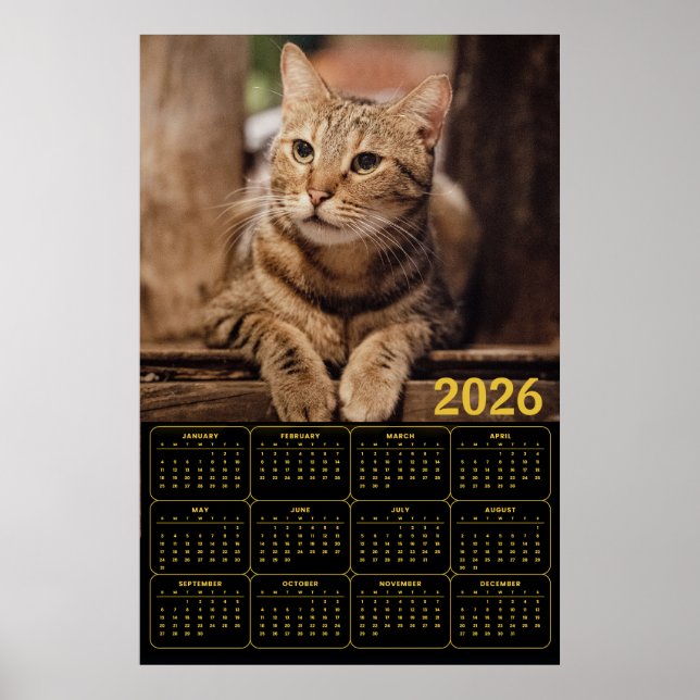 Poster Calendário Gato Tabby 2026 (Frente)