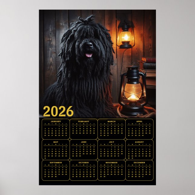 Poster Calendário Komondor com Lanternas e Livros 2026 (Frente)