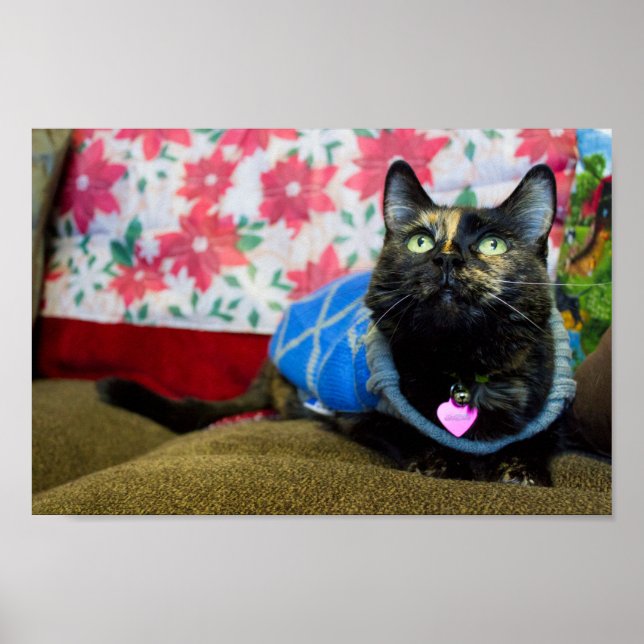 Poster Calico II (Frente)