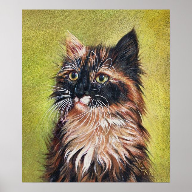 Pôster Calico kitten (Frente)