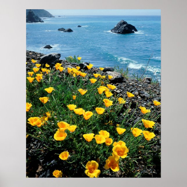 Poster California, Big Sur Coast, Central Coast 1 (Frente)