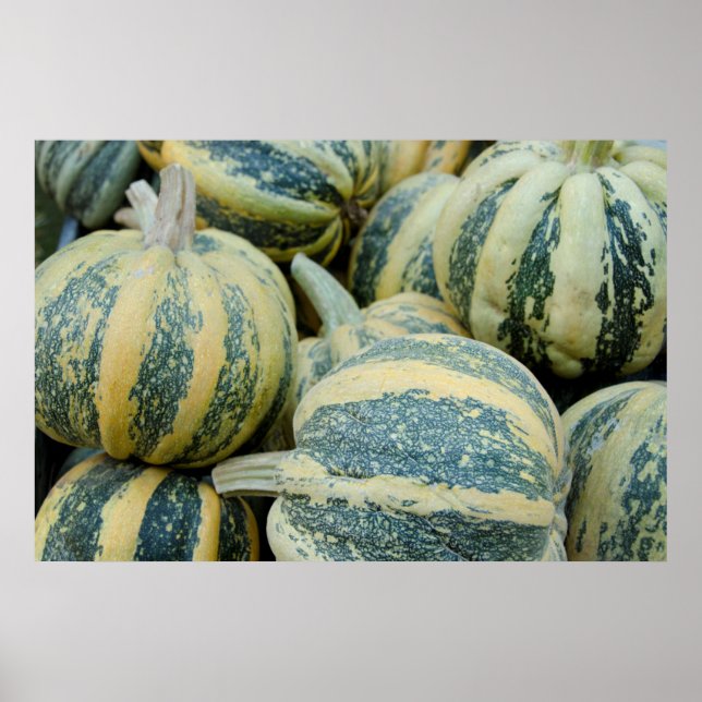 Poster Califórnia. Colheita De Queda Na Califórnia (Frente)