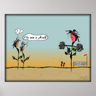 Poster California Dreamin'