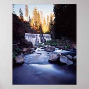 Pôster Califórnia, Floresta Nacional Shasta-Trinity