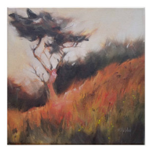 Pôster California Monterey Cypress Lone Tree