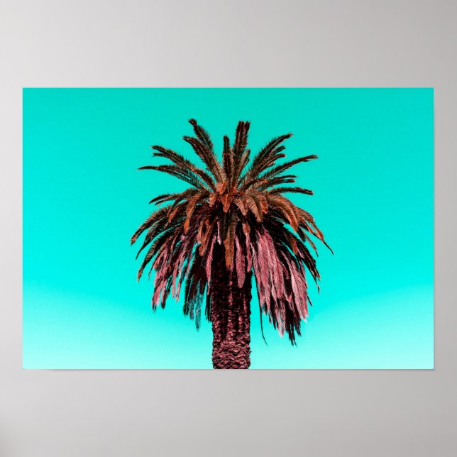 Poster California Palm Tree (Frente)