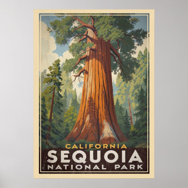 Poster California Sequoia National Park V01 (Frente)