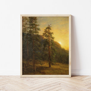 Poster Califórnia Sequoias   Albert Bierstadt