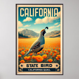 Poster California State Bird - California Quail Vintage