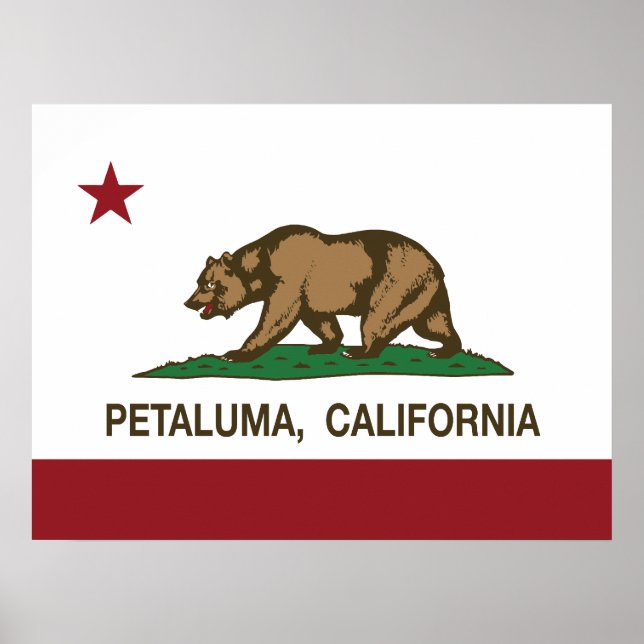 Pôster California State Flag Petaluma (Frente)