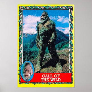 Poster Call of the Wild  Harry and the Hendersons