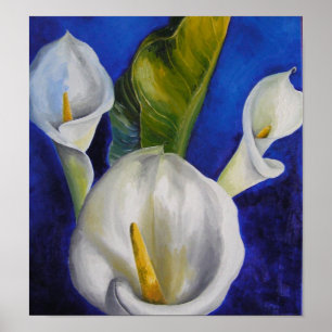 Pôster calla lilly