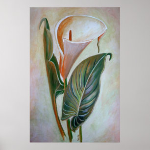 Pôster Calla Lily