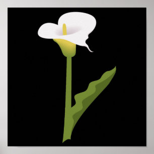 PÔSTER CALLA LILY