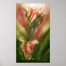 Pôster Calla Lily In Calla Vase Art Poster/Impressão