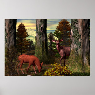 Poster Calma da floresta