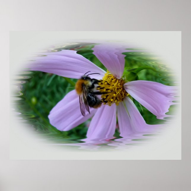 Poster Calor de Verão (Frente)