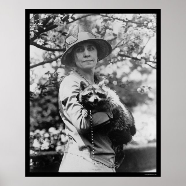 Pôster Calvin Coolidge com o seu Raccoon 1923 (Frente)