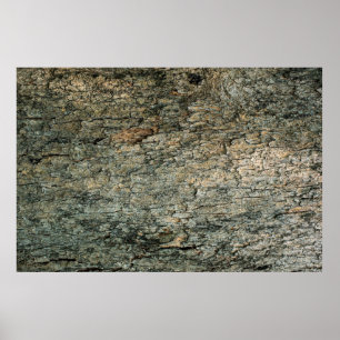 Poster Camada de latido de vindima abstrata, deco gráfico