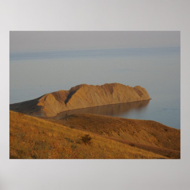 Poster Camaleão (Frente)