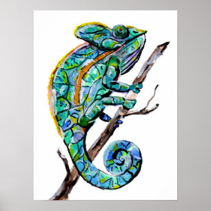 Poster Camaleão mágico