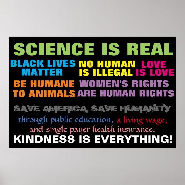 Pôster Câmara Municipal de Protesto Marcha Sinal de Direi (Frente)