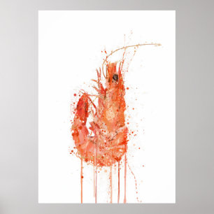 Poster Camarão