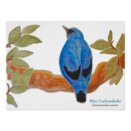Pôster Camarão-Caco Azul no Pássaro de Aquarela